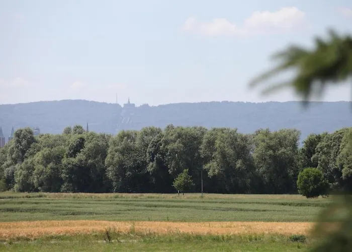 Art City-studio 7, Gross, Modern, Citynah, Kostenfreie Parkplaetze, Sued-balkon, Ruhig, Herkulesblick, Voll Ausgestattet דירה